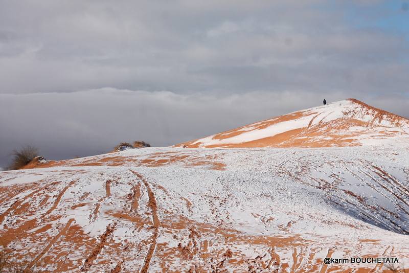 У пустелі Сахара знову снігопад (неймовірні фото)