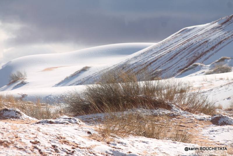 У пустелі Сахара знову снігопад (неймовірні фото)