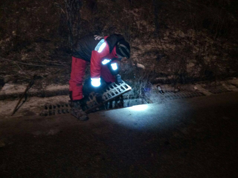 "Побольше бы таких людей!": в Киеве мужчина спас кота, которого сбило авто (фото)