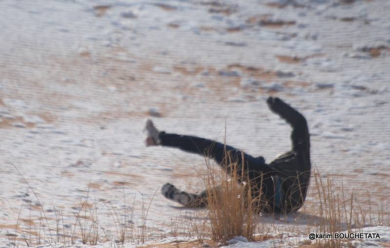 У пустелі Сахара знову снігопад (неймовірні фото)