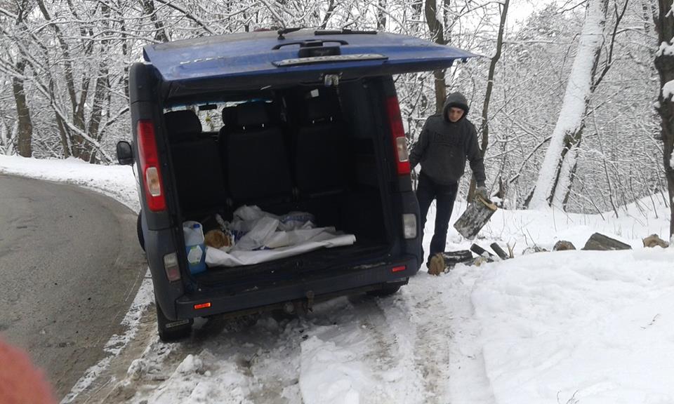 "І ніхто не зупинився": киянка помітила в столичному парку злочинців з бензопилою