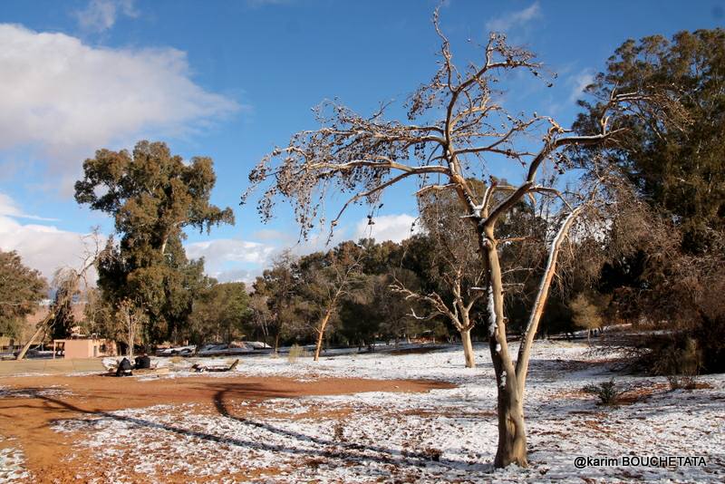 У пустелі Сахара знову снігопад (неймовірні фото)