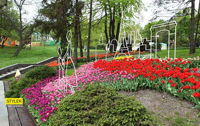 В Киеве открылась уникальная выставка тюльпанов "Вокруг света" (яркий фоторепортаж)