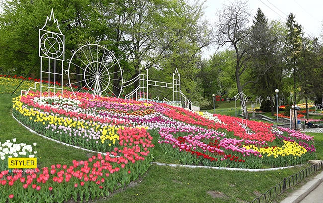 В Киеве открылась уникальная выставка тюльпанов "Вокруг света" (яркий фоторепортаж)