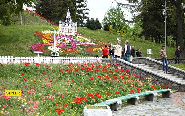 В Киеве открылась уникальная выставка тюльпанов "Вокруг света" (яркий фоторепортаж)