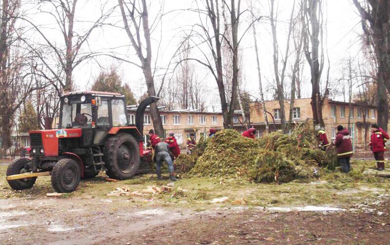 "Зелена справа": у Києві похвалилися утилізацією гори ялинок (фото)
