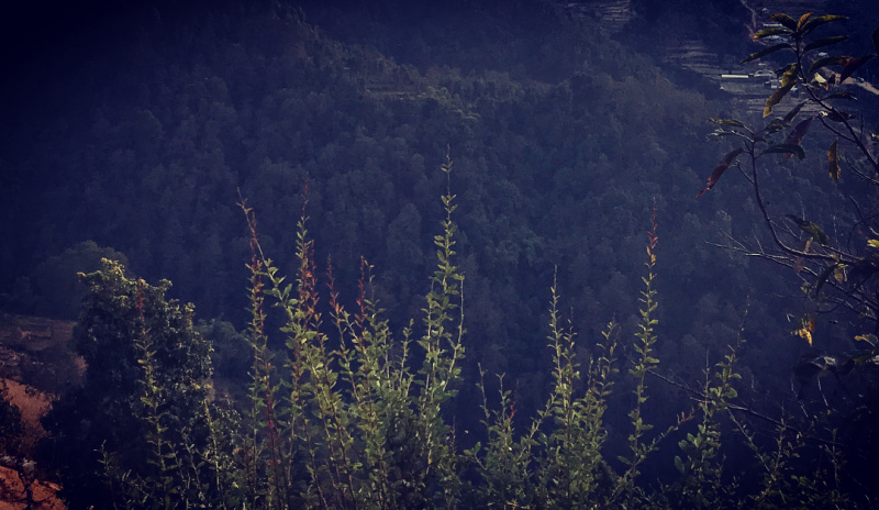 "Насыщенный отпуск": Могилевская рассказала о своем путешествии в Непал (фото)