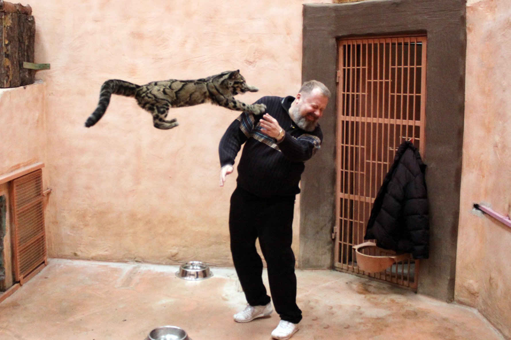 В зоопарке под Киевом появилось редкое животное (фото)