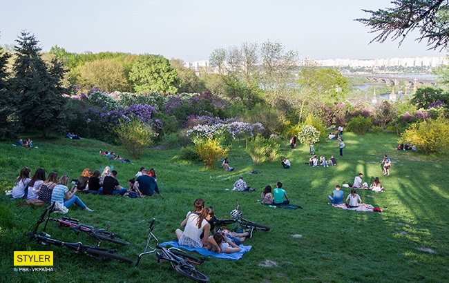 В Киеве зацвела сирень: яркий фоторепортаж из ботсада им. Гришко