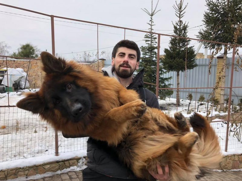 "На одну щасливу людину стало більше": мережу зворушила історія про вкрадене цуценя (фото)