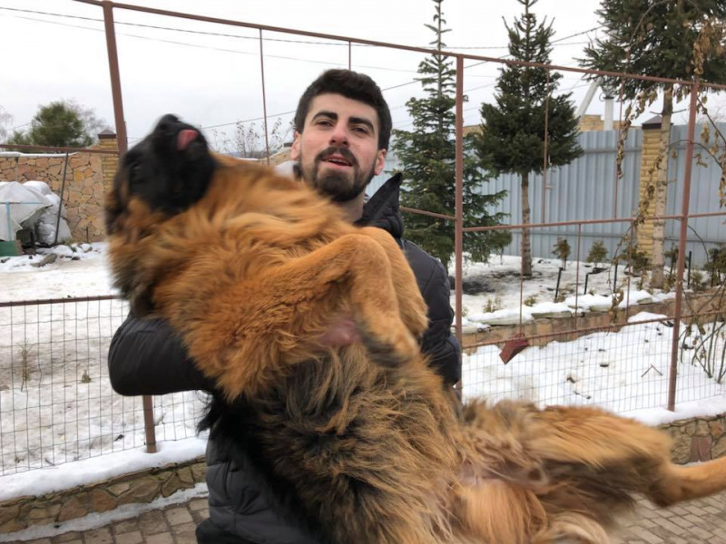 "На одну щасливу людину стало більше": мережу зворушила історія про вкрадене цуценя (фото)