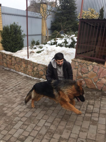 &quot;На одну щасливу людину стало більше&quot;: мережу зворушила історія про вкрадене цуценя (фото)