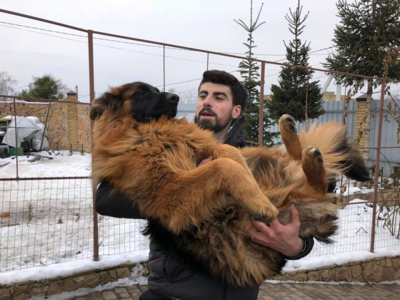 "На одну щасливу людину стало більше": мережу зворушила історія про вкрадене цуценя (фото)