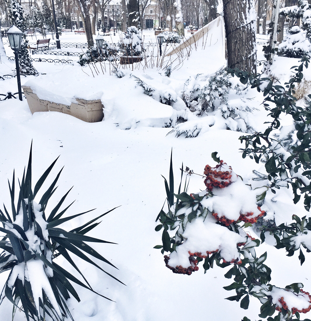 "Так, у нас така весна": одесити з гумором зустріли сніговий "колапс"