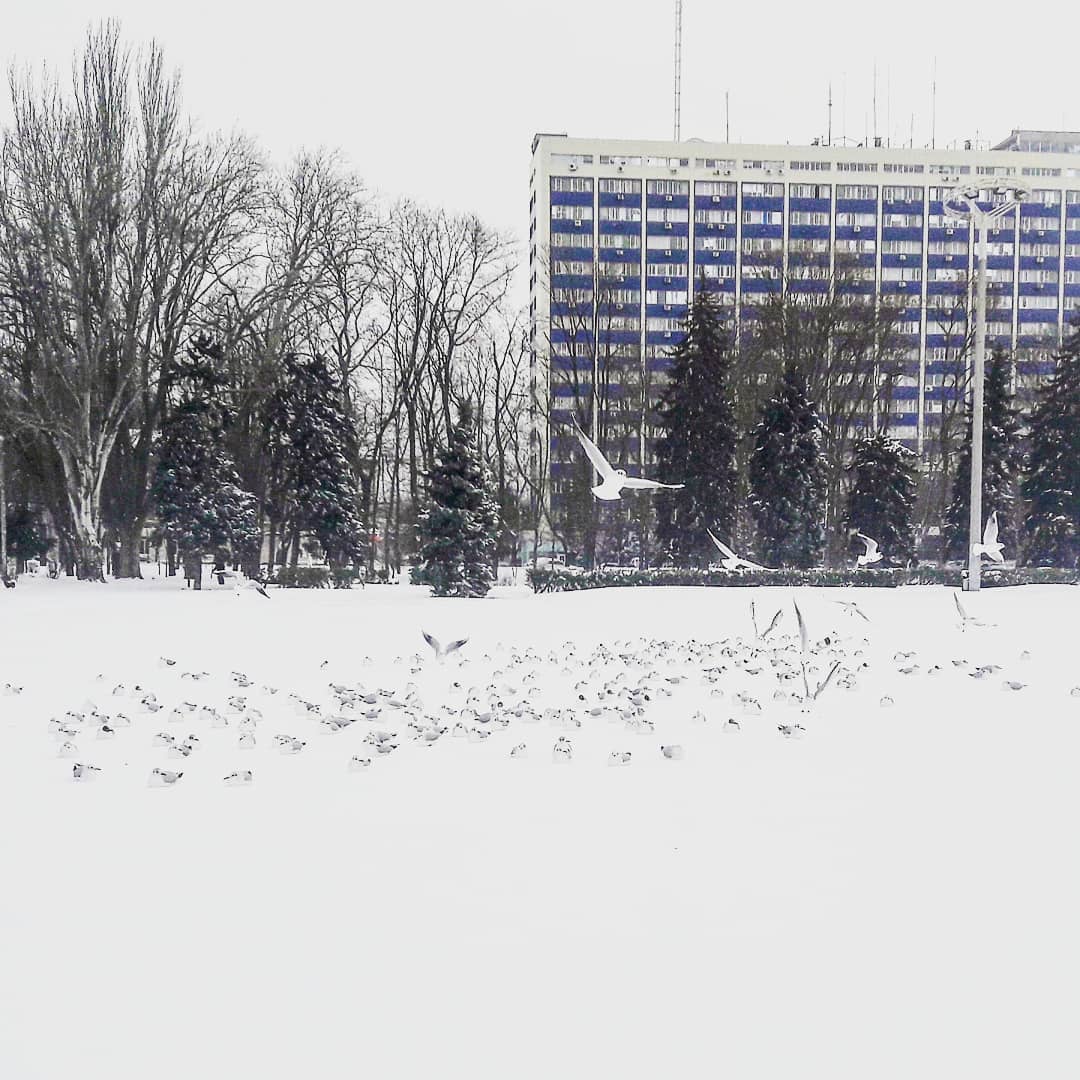 Снігопад в Україні