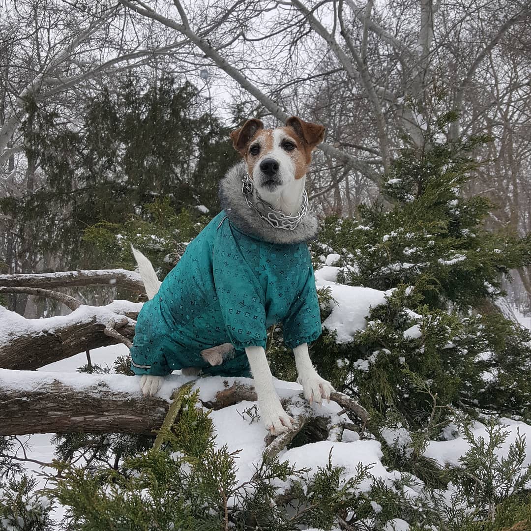 Негода в Одесі