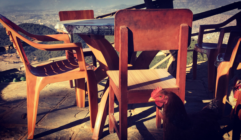 "Насыщенный отпуск": Могилевская рассказала о своем путешествии в Непал (фото)