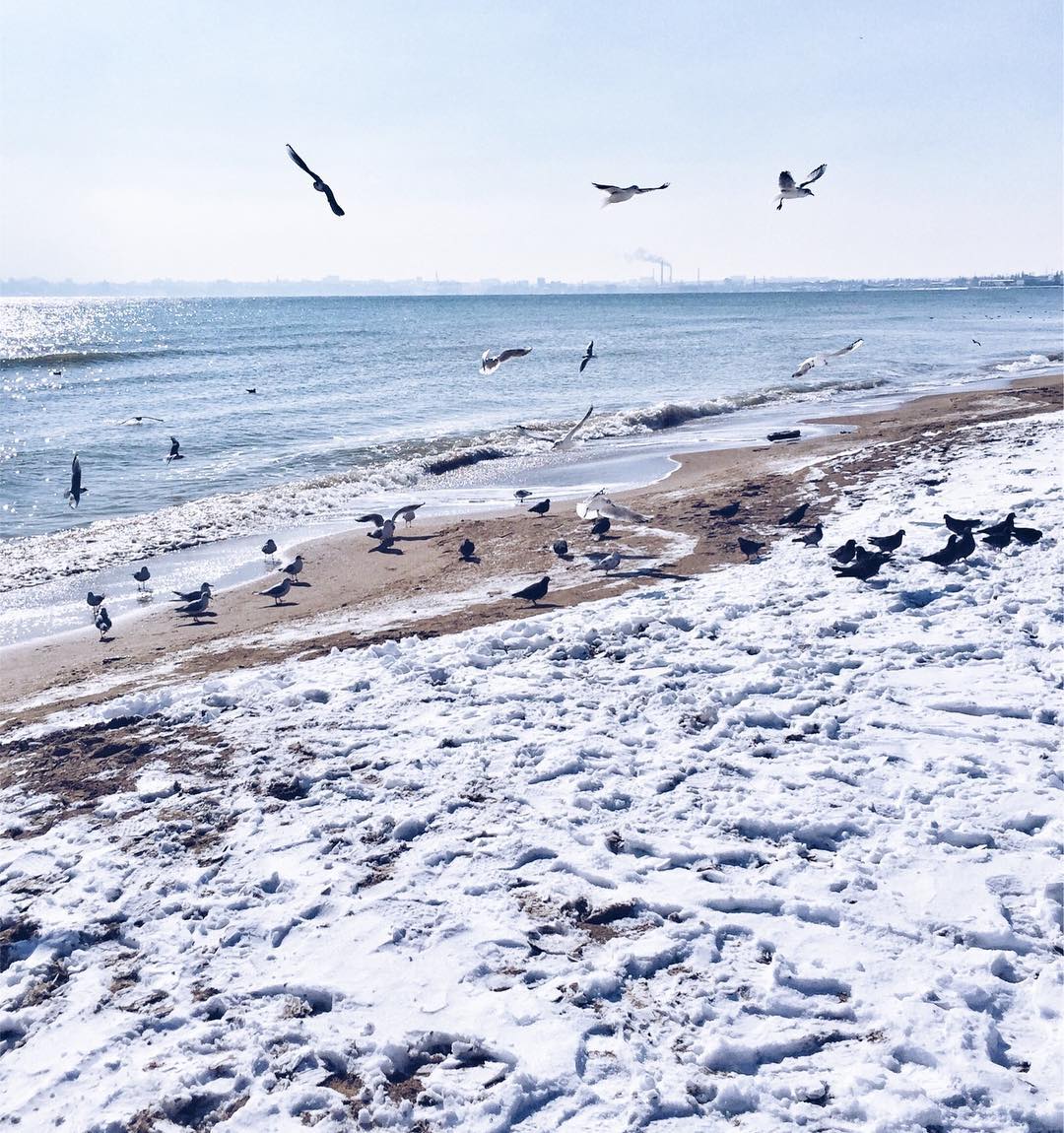 Сніг на море в Одесі