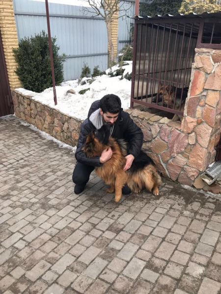 "На одну щасливу людину стало більше": мережу зворушила історія про вкрадене цуценя (фото)