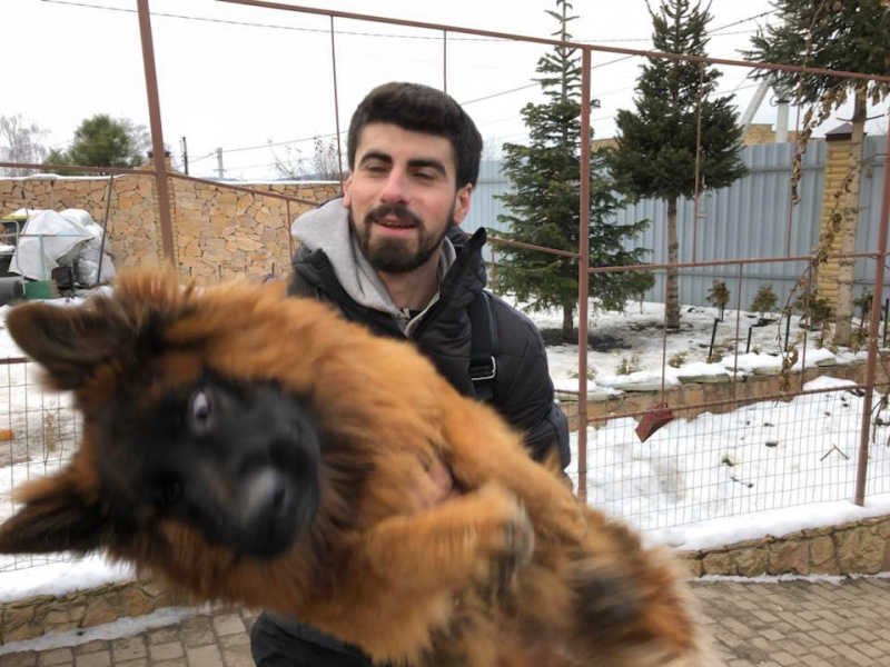 "На одну щасливу людину стало більше": мережу зворушила історія про вкрадене цуценя (фото)