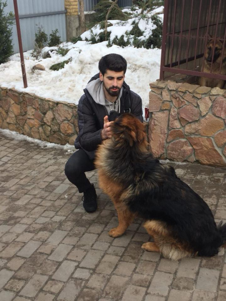 "На одну щасливу людину стало більше": мережу зворушила історія про вкрадене цуценя (фото)