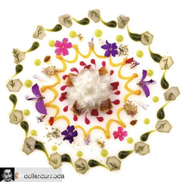 "Медленный деликатес" и цветы: новые тренды в правильном питании