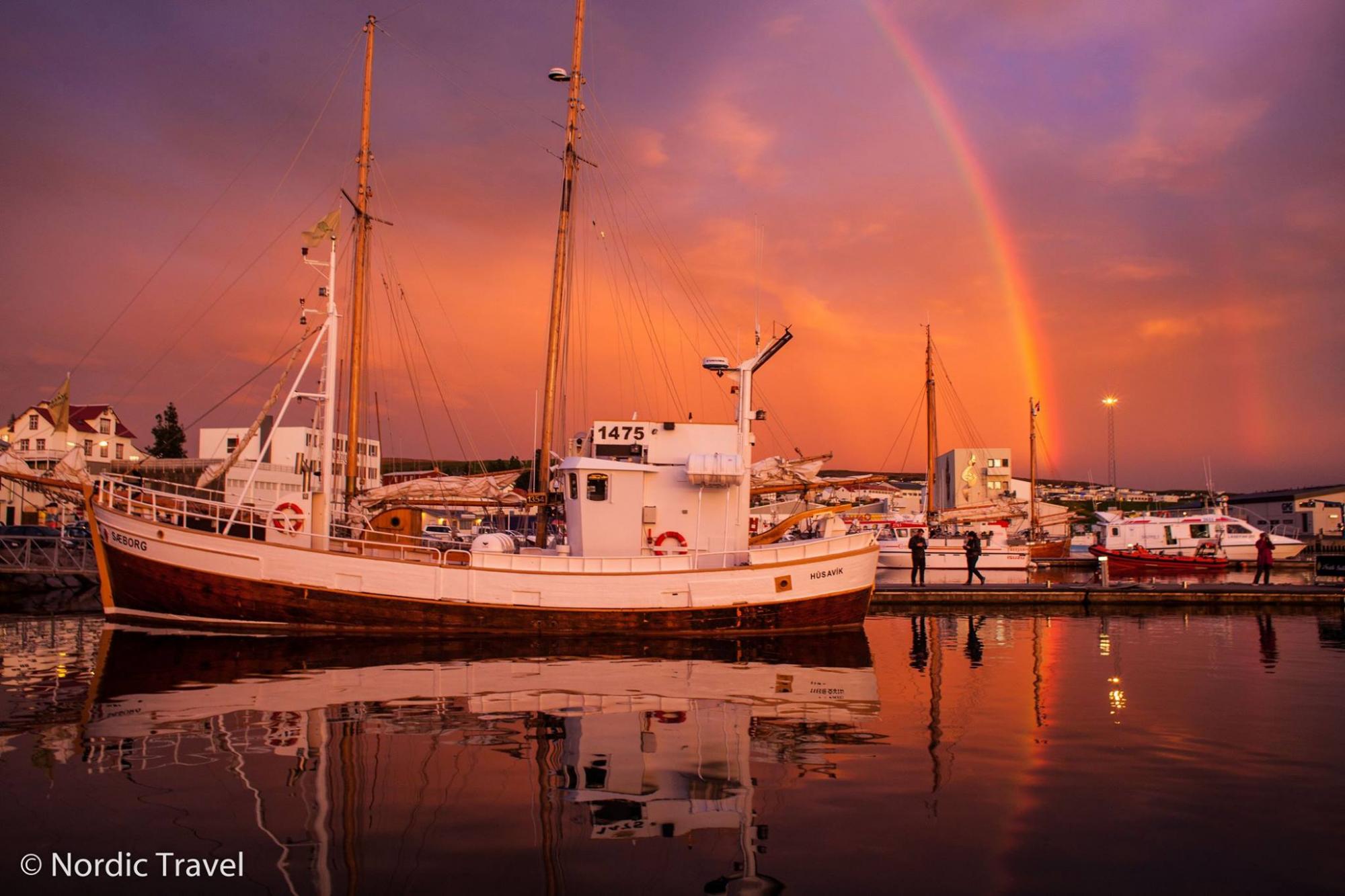Легальна зброя, заборонені імена і скандинавські олігархи: незвичайні факти про Ісландію від українця