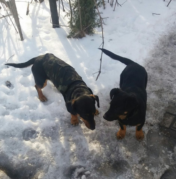 "Окопна" творчість бійця з Дніпропетровщини: вірші та "платтячко" для такси (фото)