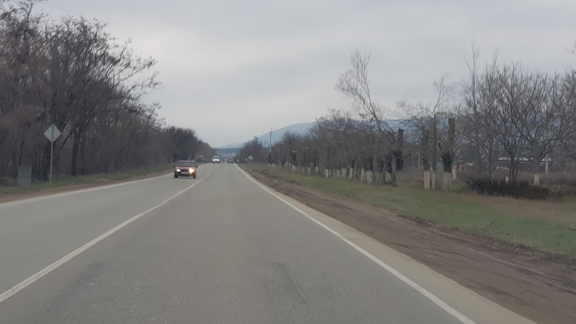 "Варварство в чистому вигляді": у Криму окупанти масово знищують дерева