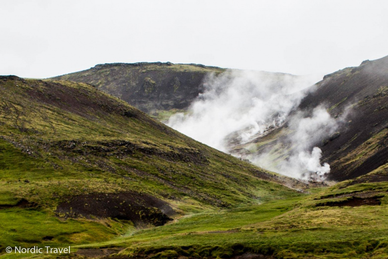 Легальна зброя, заборонені імена і скандинавські олігархи: незвичайні факти про Ісландію від українця