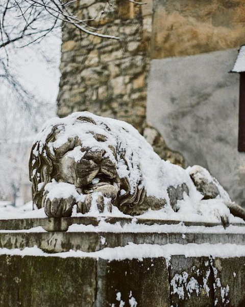Снегопад превратил Львов в город-сказку: впечатляющие фото