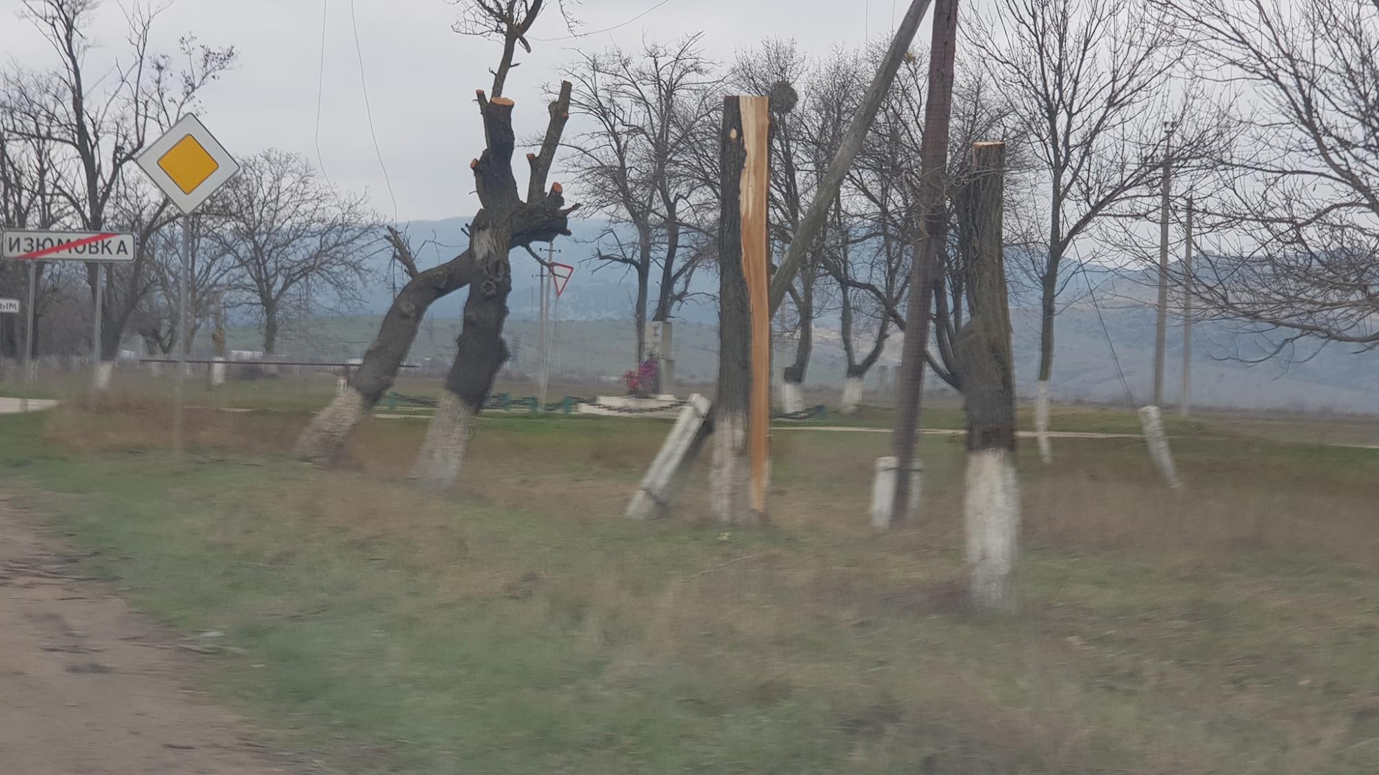 "Варварство в чистому вигляді": у Криму окупанти масово знищують дерева