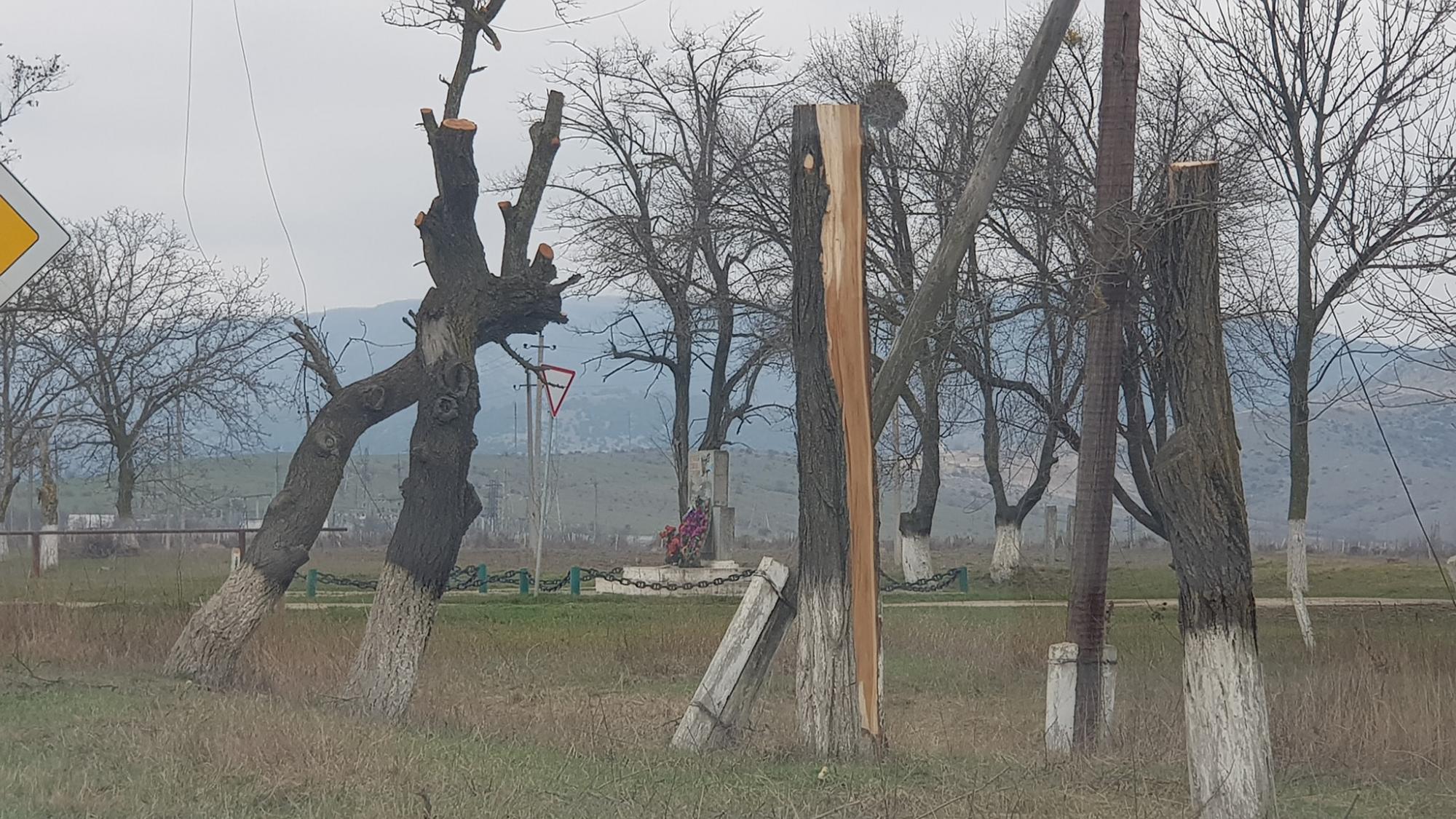 "Варварство в чистому вигляді": у Криму окупанти масово знищують дерева