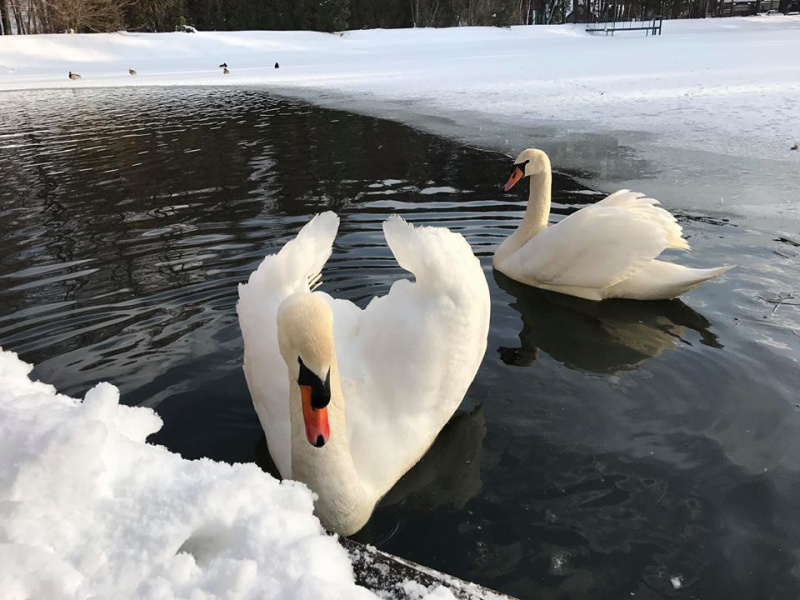 Руслана восхитила поклонников экстремальной фотосессией на снегу