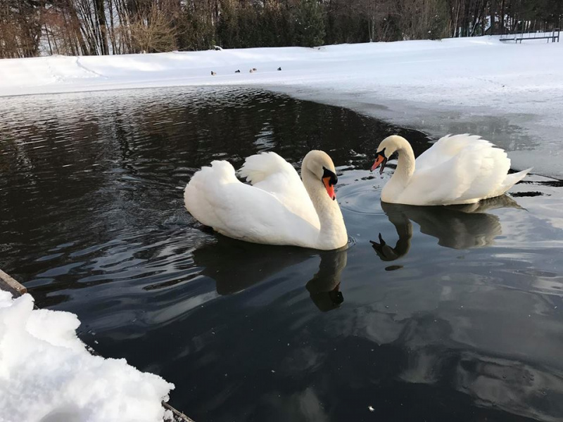 Руслана восхитила поклонников экстремальной фотосессией на снегу