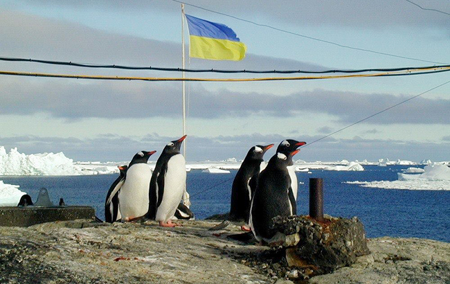 Как живут в Антарктиде украинские полярники