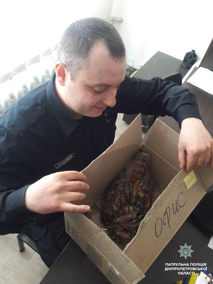 У Дніпрі поліцейські врятували рідкісну сову
