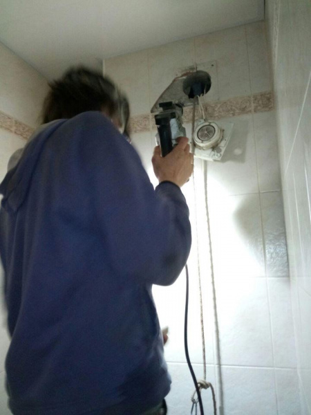 "Шансов на выживание было немного": в Киеве спасли енота (фото)