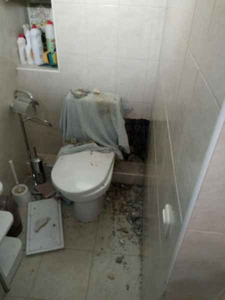 "Шансов на выживание было немного": в Киеве спасли енота (фото)