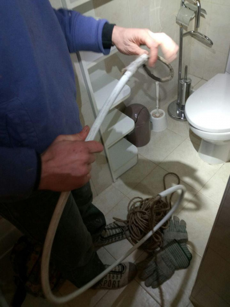 &quot;Шансов на выживание было немного&quot;: в Киеве спасли енота (фото)