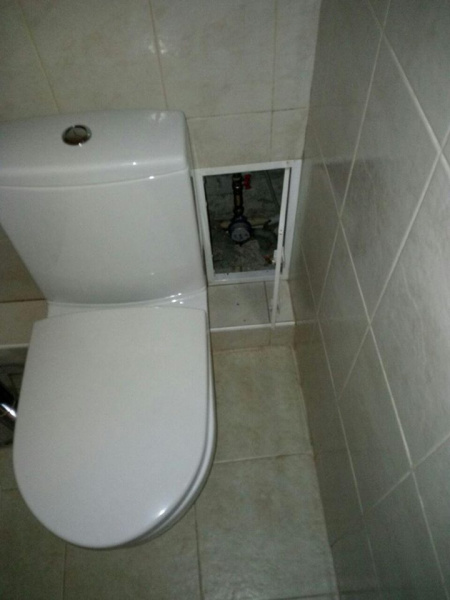 "Шансов на выживание было немного": в Киеве спасли енота (фото)