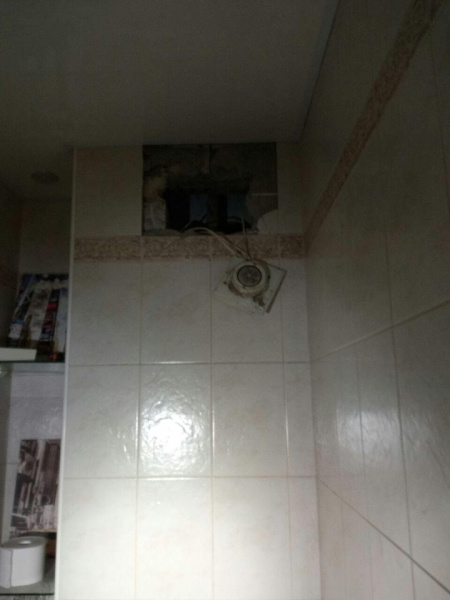 "Шансов на выживание было немного": в Киеве спасли енота (фото)