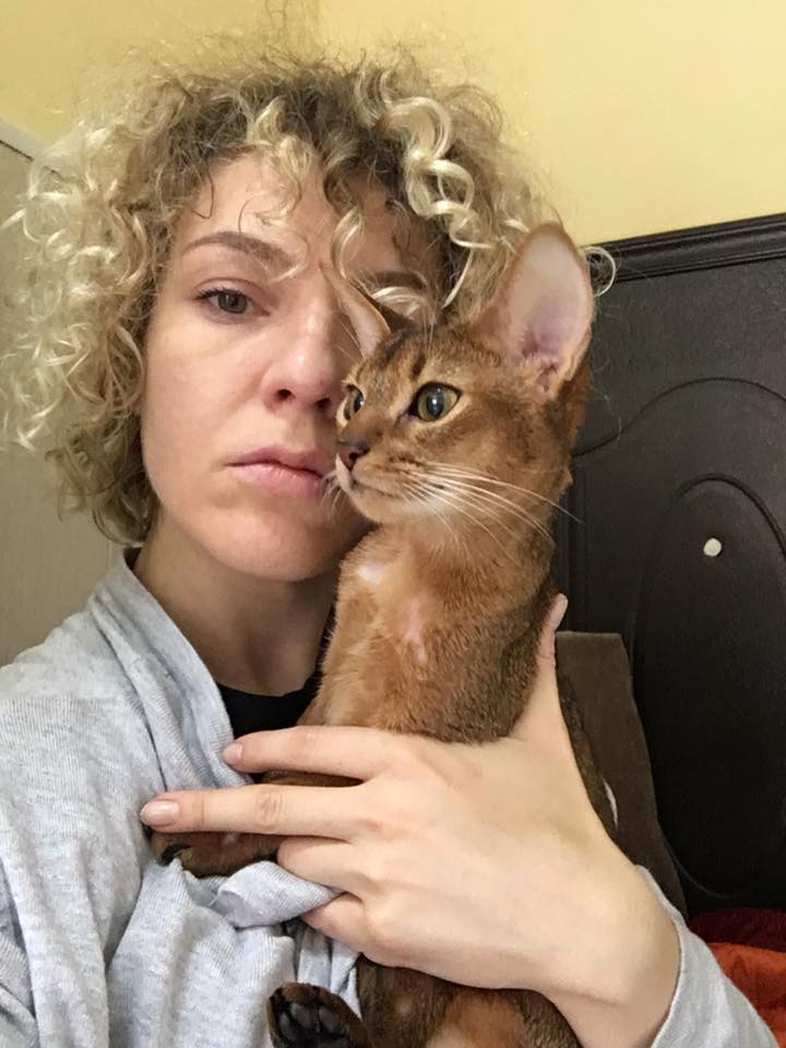 "Лечить не будем": в сети просят помочь кошке дорогой породы, которую бросили хозяева (фото)