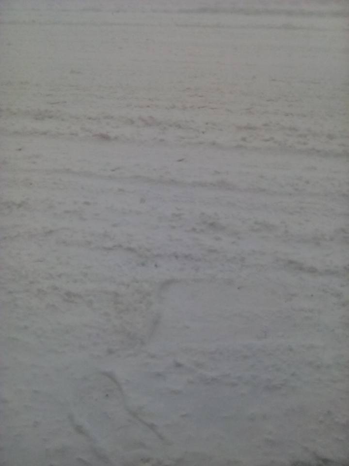 &quot;Каша на дорозі&quot;: в мережі показали стан траси Львів-Ужгород