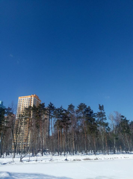 Стало відомо, як виглядатиме один з київських парків після реконструкції (фото)