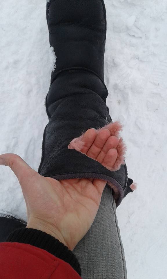 "А ви продовжуйте захищати": у Тернополі на жінку напала зграя собак