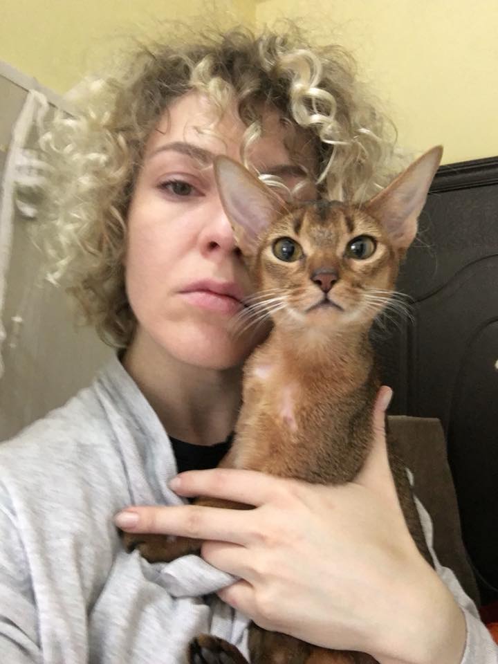 "Лечить не будем": в сети просят помочь кошке дорогой породы, которую бросили хозяева (фото)