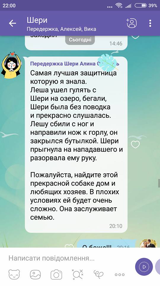 &quot;Бесстрашно бросилась спасать&quot;: сеть растрогала история про храбрую собаку в Киеве