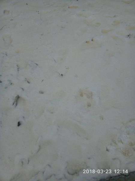 Под Одессой выпал снег желтого цвета (фото)