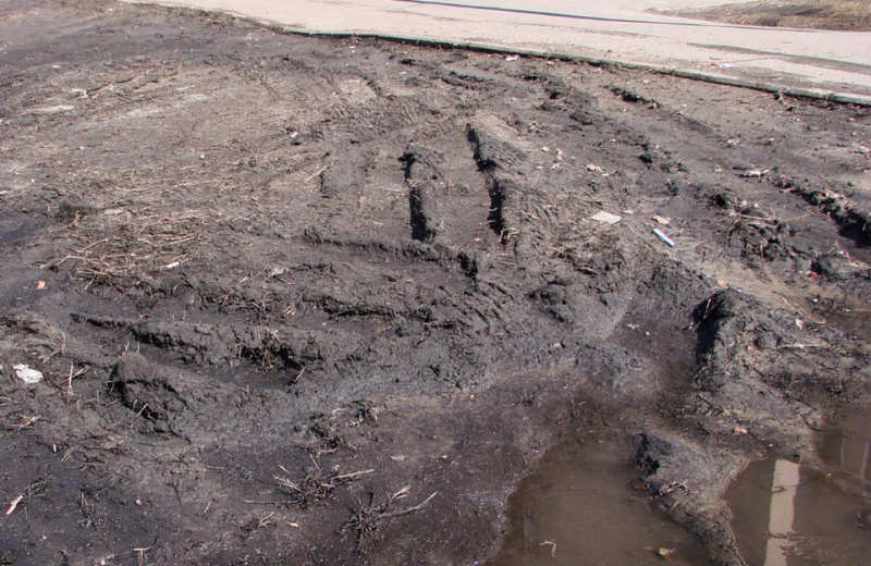 "Везде такая картина": в Киеве пожаловались на грязь от автомобилей (фото)
